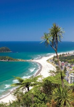 An aerial shot of a city lining a golden sand beach, with turquiose water stretching to the horizon, and palm trees.