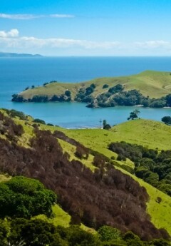 Aerial view of the hills of Coromandel, with sea behind.