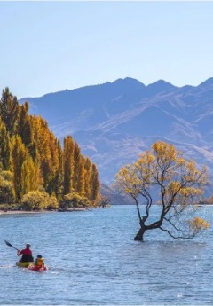 Kayakers paddles past the iconic Wanaka Tree in autumn with mountains behind it.