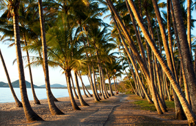 Palm Cove near Cairns