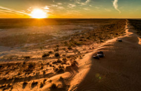 Birdsville Sunset