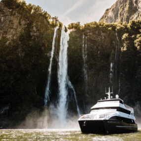 Fiordland Jewel