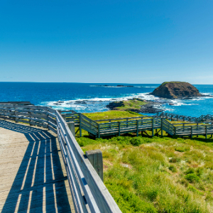 Boardwalk along the coastline with blue water in the back