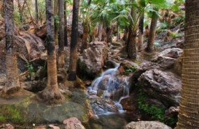 Zebedee Springs