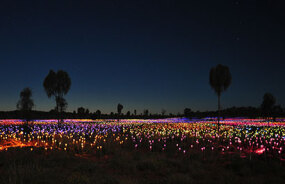 Field of Light