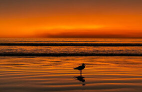 Broome Sunset