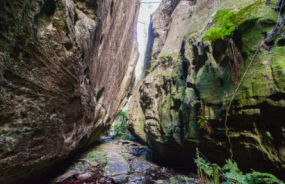 Carnarvon National Park