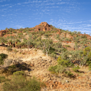 Rocky outcrop with sparse trees under clear blue sky.