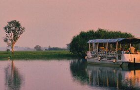 Yellow Water Billabong Cruise