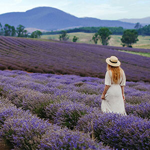 A woman walking the lavender fields