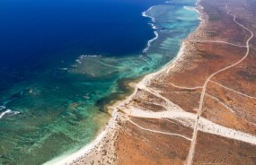 Ningaloo Reef