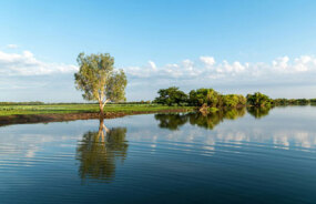 Arnhem Land