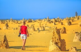 Pinnacles in Nambung National Park