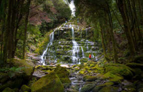 Franklin-Gordon Wild Rivers National Park