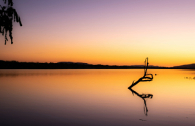 Lake Kununurra