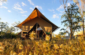 Bungle Bungle Safari Tent