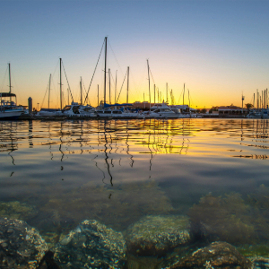 Sun setting over the harbour with many sail boats