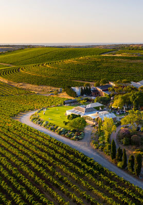 Lush vineyard landscape surrounds a charming winery estate.