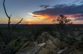 Outback Sunset