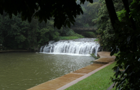 Malanda Falls