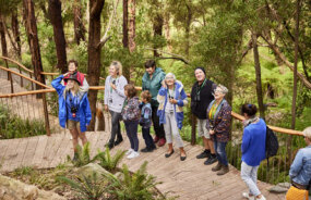 Apollo Bay - Wildlife Wonders Guided Tour