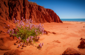 Broome Beach