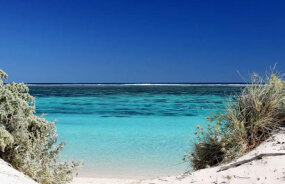 Ningaloo Reef
