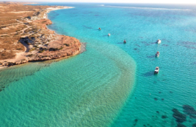 Coral bay