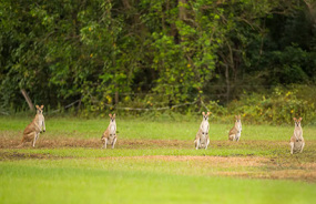 Northern Territory