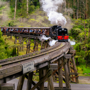 Historic train travelling along a wooden bridge in a forest area