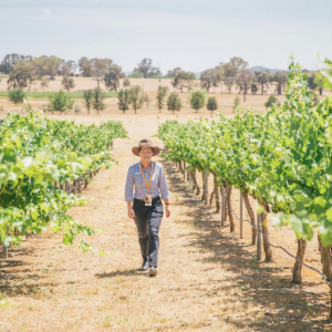 Host walking through a vineyard
