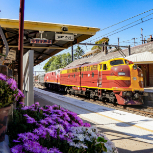 Train parked at a train station with flowers in pot