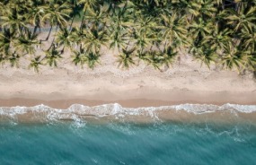 Palm Cove