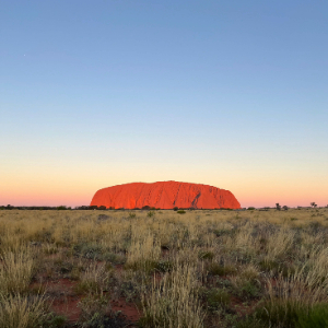 Uluru rock with grass area and sun rising
