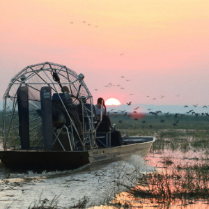 Airboat on the water as the sun is setting
