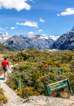 Routeburn Track, Fiordland National Park