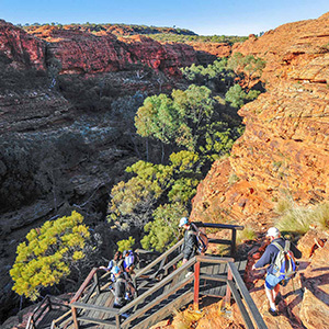 Hikers descend stairs into a rocky canyon.