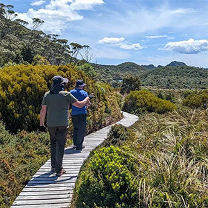 Two hikers walking a wooden path through wilderness.