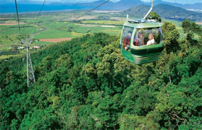 Rainforest Cableway
