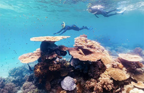Great Barrier Reef