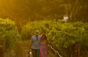 Winery