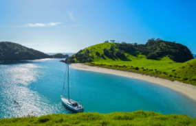 Beach in the Bay of Islands
