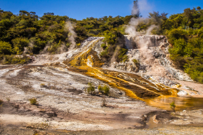 Rotorua Geothermal