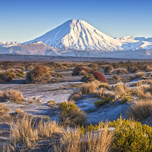 Snow-capped Mount Ruapehu in Tangariro National Park