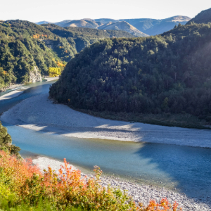 Blue river with mountains in the back and pine trees surrounding
