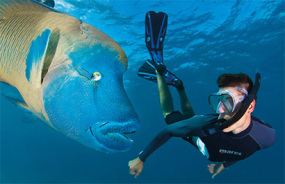 Great Barrier Reef