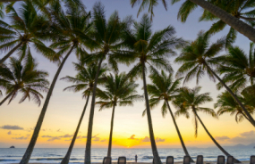 Palm Cove Beach