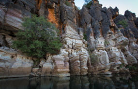 Fitzroy Crossing