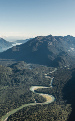 Aerial view of Fiordland National Park