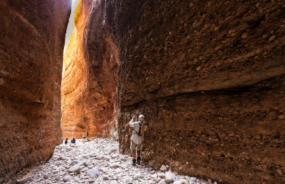 Echidna Chasm